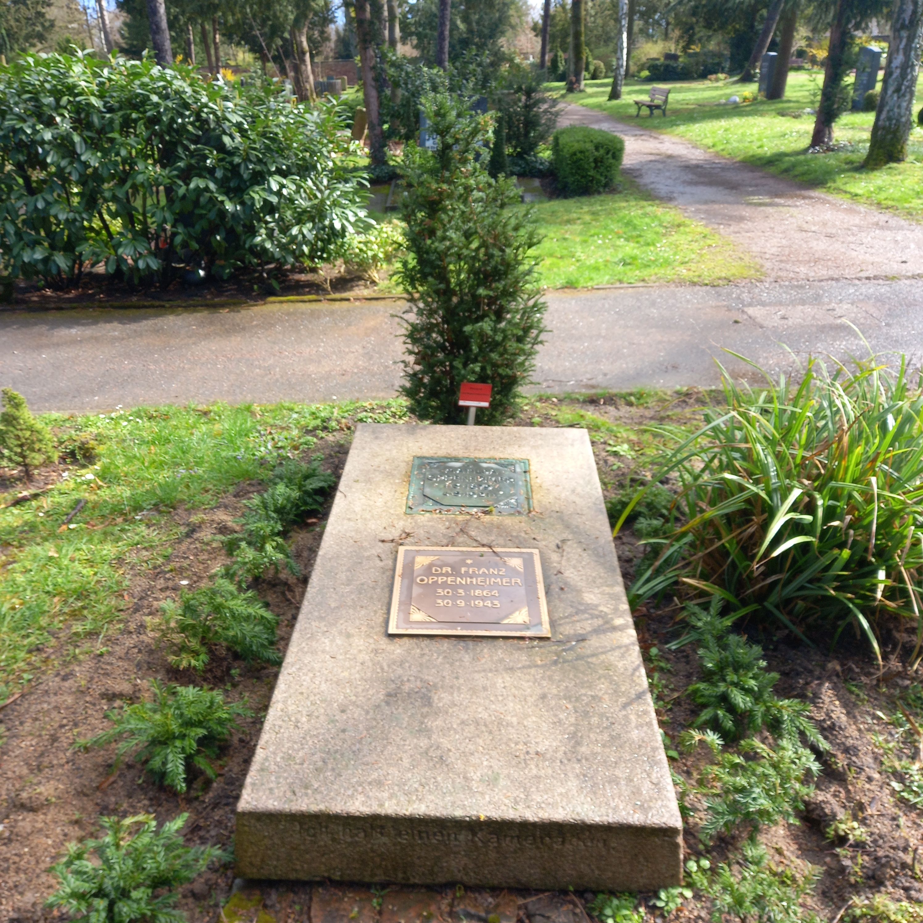 Ehrengrab von Franz Oppenheimer auf dem Südfriedhof Frankfurt